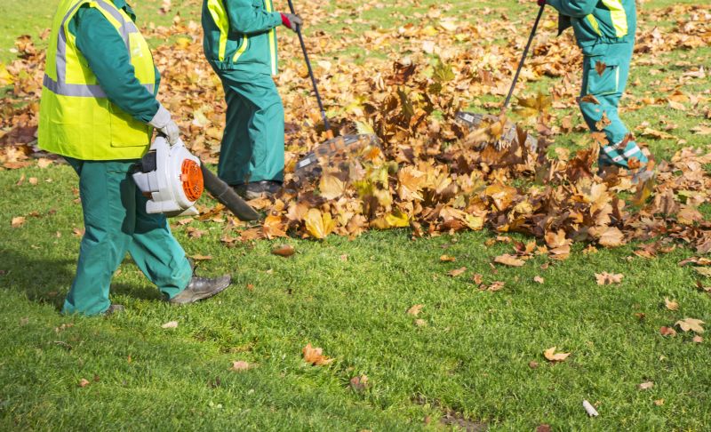 Gathering Debris and Leaves