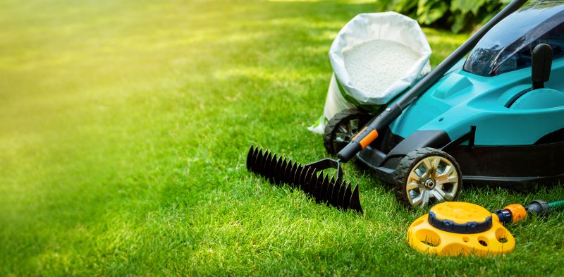 Tools for Lawn Cleanup