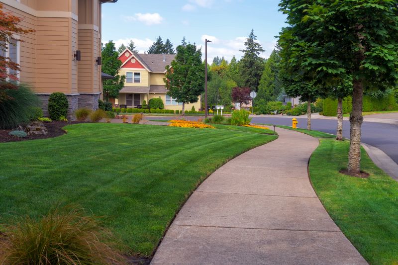 Home Lawn Maintenance