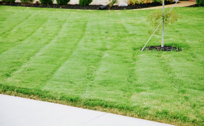 Healthy Lawn Growth