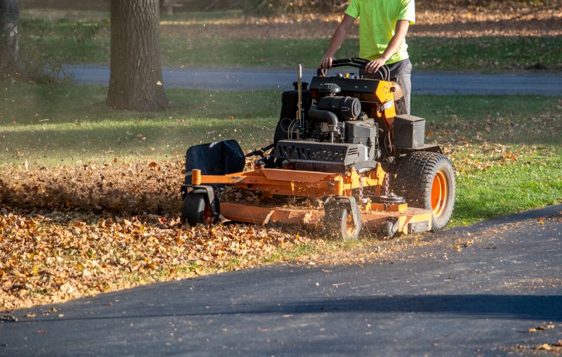Leaf Mowing