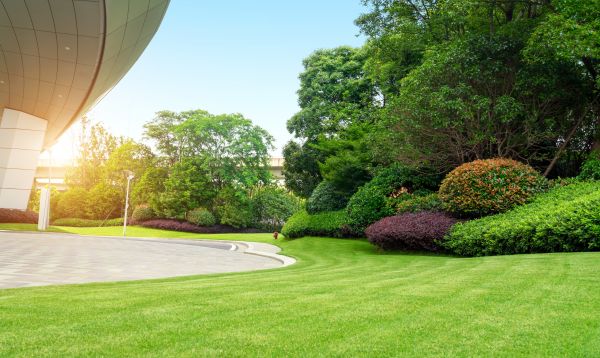 Cost of Commercial Lawn Mowing in Cumming