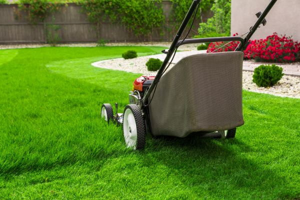 Home Yard Maintenance in Cumming