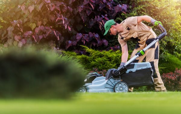 Lawn Care And Maintenance in Cumming
