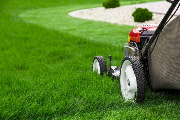 Cost of Lawn Cutting Service in Cumming