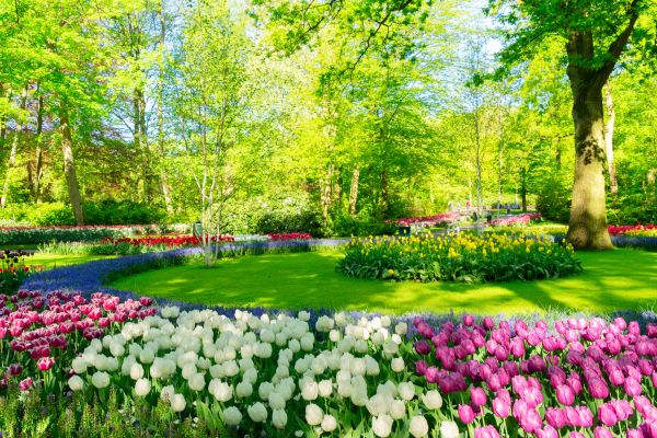 Spring Lawn Care in Cumming