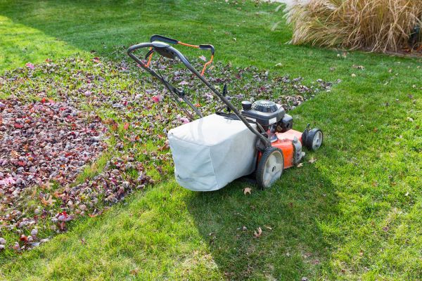 Cost of Seasonal Lawn Care in Cumming