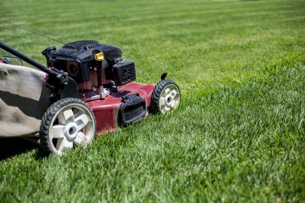 Cost of Routine Lawn Care in Cumming
