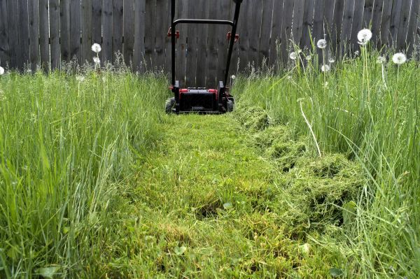 Cost of High Grass Mowing in Cumming