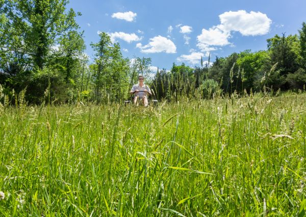 Cost of Long Grass Mowing in Cumming