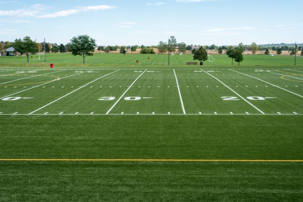 Cost of Groundskeeping Service in Cumming