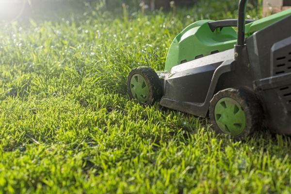 Cost of Lot Mowing in Cumming