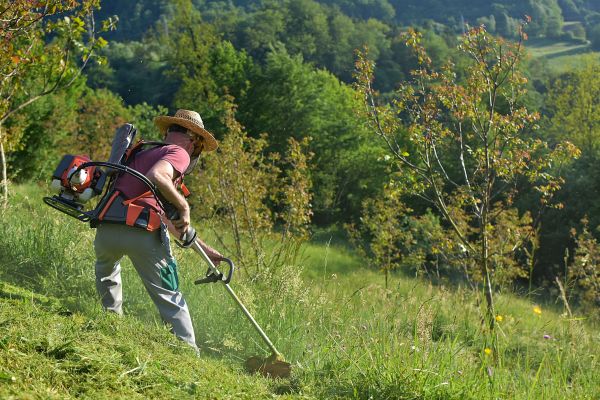 Slope Mowing in Cumming