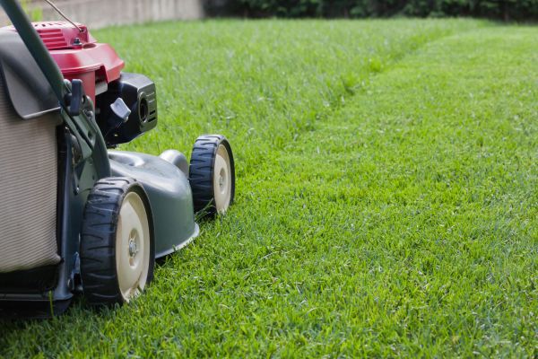 Spring Lawn Maintenance in Cumming