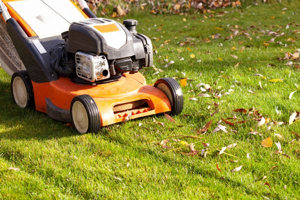Cost of Fall Mowing in Cumming