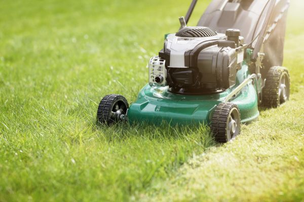 Spring Grass Trimming in Cumming